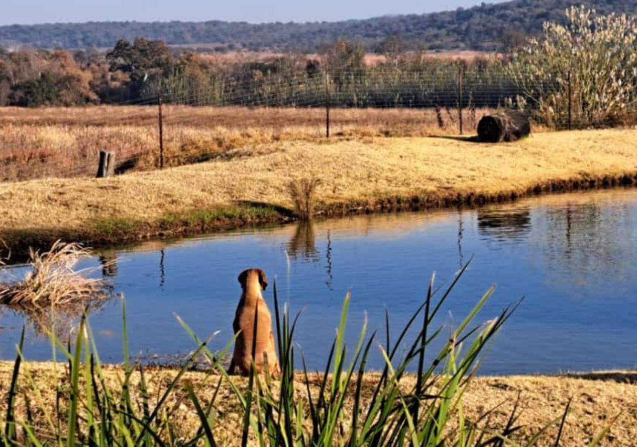 Imbabali Retreat & Venue Villa Magaliesburg Luaran gambar